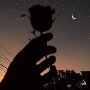 扒开你粉嫩的屎眼
